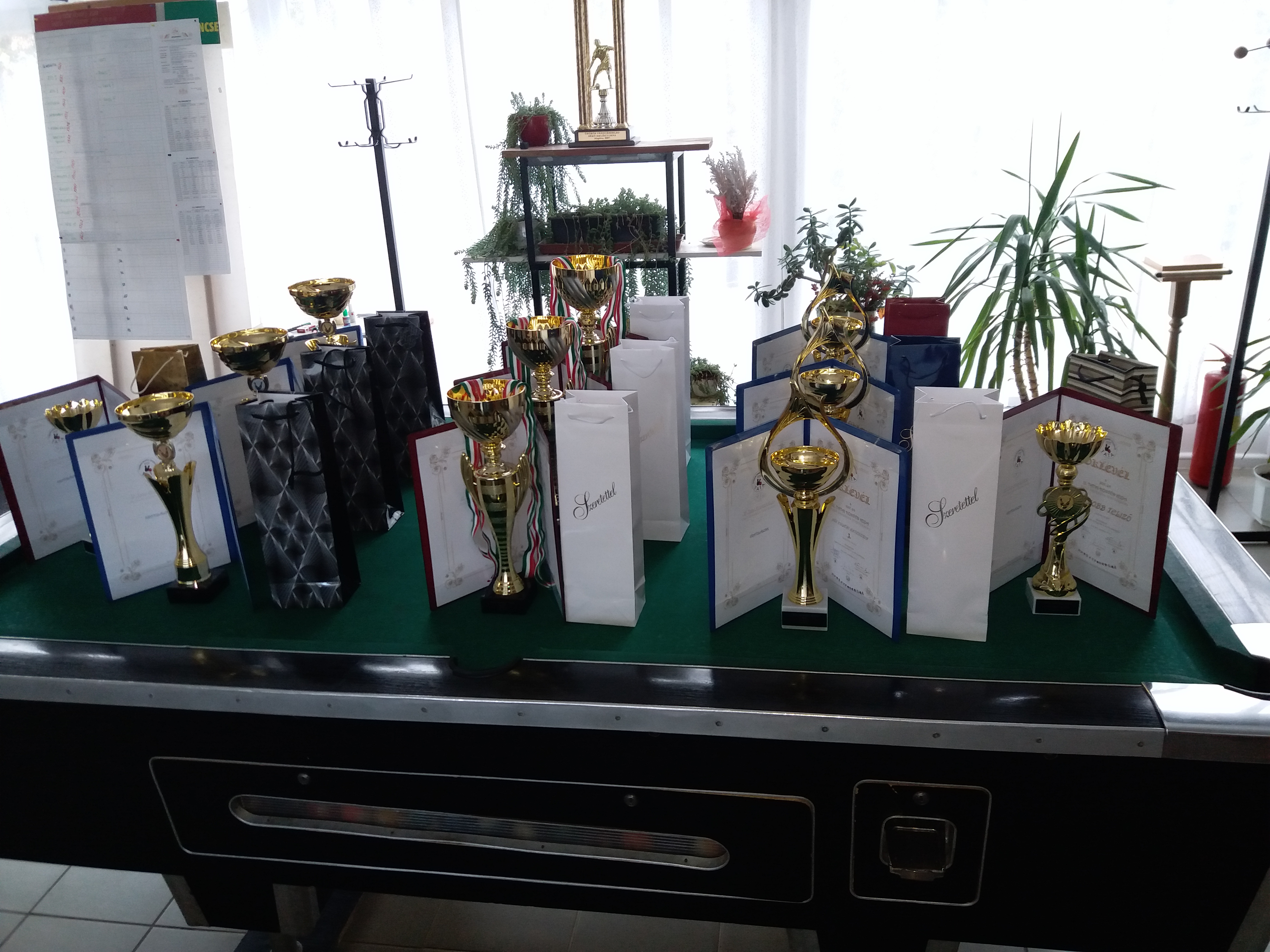 III. Tatati Honvéd Kupa országos nyílt amatőr tekeverseny
